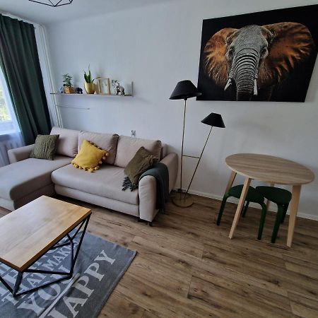 Sienkiewicza Apartament Multi House 제수프 외부 사진