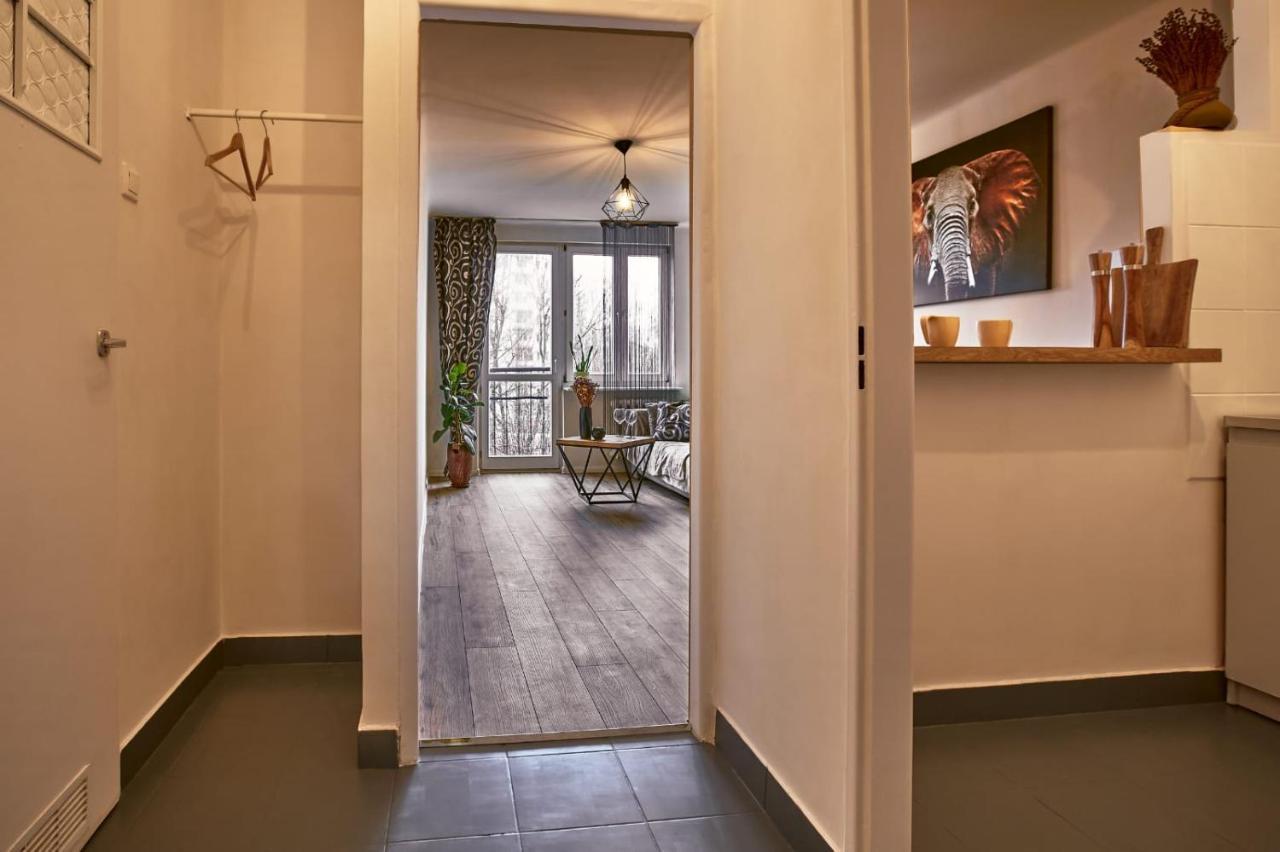Sienkiewicza Apartament Multi House 제수프 외부 사진
