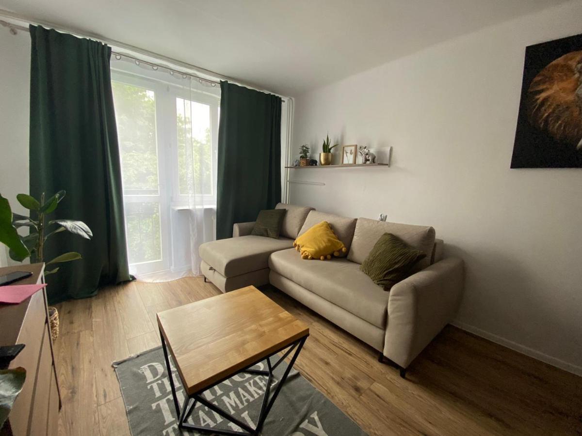 Sienkiewicza Apartament Multi House 제수프 외부 사진