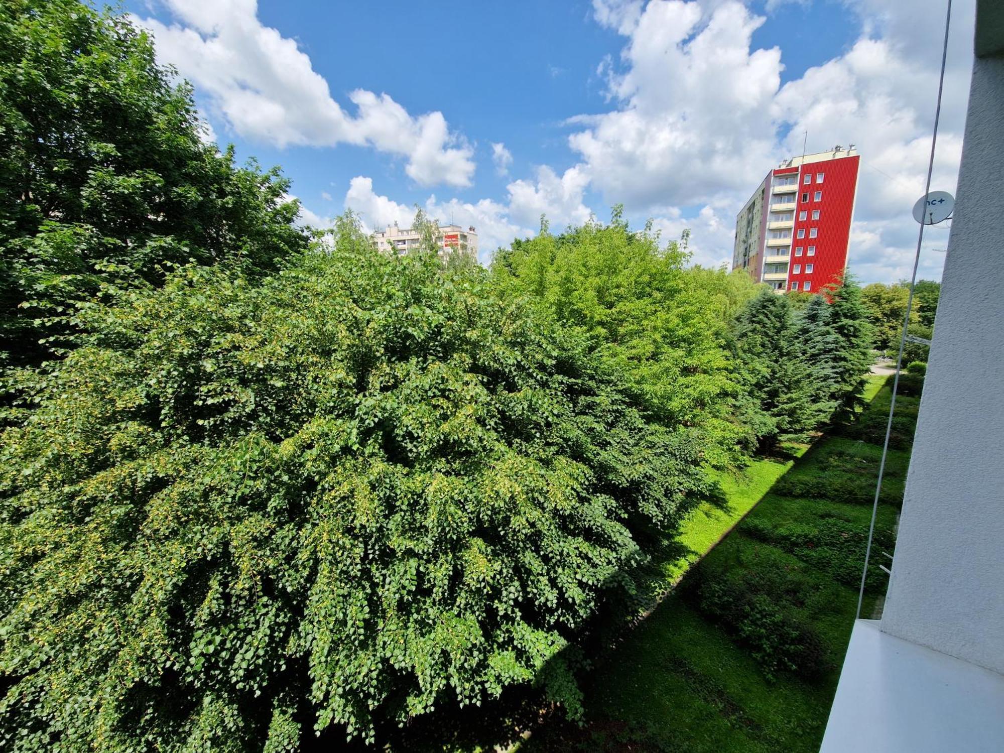 Sienkiewicza Apartament Multi House 제수프 외부 사진